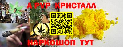 ECSTASY Канаш