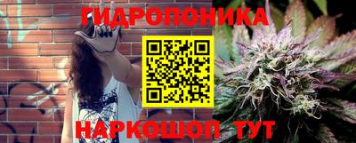spice Кандалакша