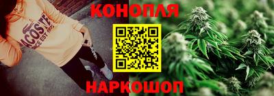 ГАЛЛЮЦИНОГЕННЫЕ ГРИБЫ Камышлов